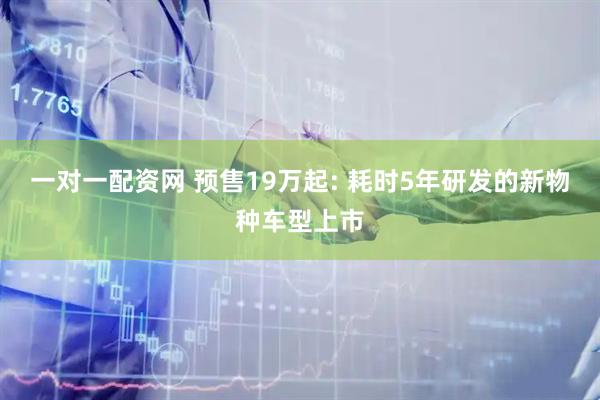 一对一配资网 预售19万起: 耗时5年研发的新物种车型上市