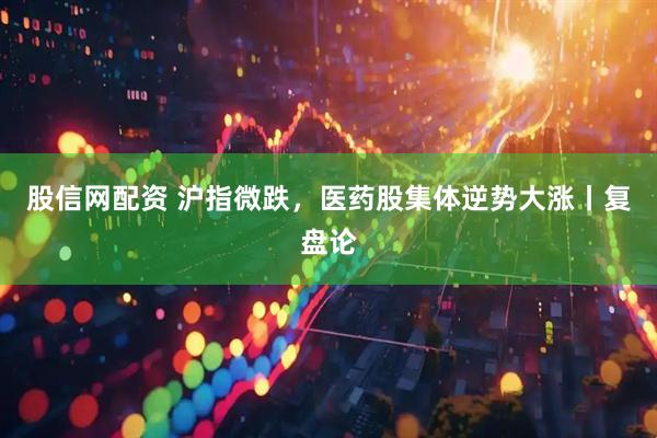 股信网配资 沪指微跌，医药股集体逆势大涨丨复盘论