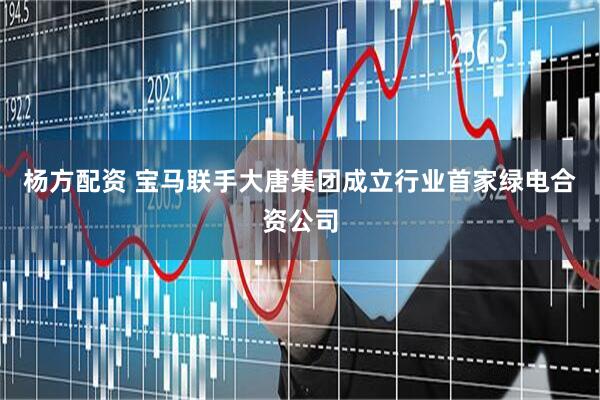 杨方配资 宝马联手大唐集团成立行业首家绿电合资公司