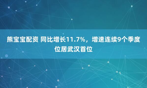 熊宝宝配资 同比增长11.7%，增速连续9个季度位居武汉首位